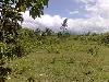 Vacant Lot for Sale in Majada, Calamba, Laguna